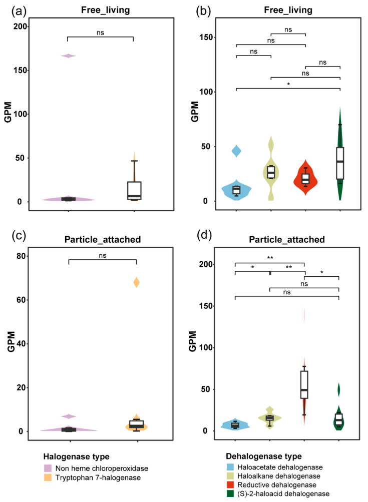 Halogenation and Dehalogenation Potential of Microorganisms in Yangtze River Waters.