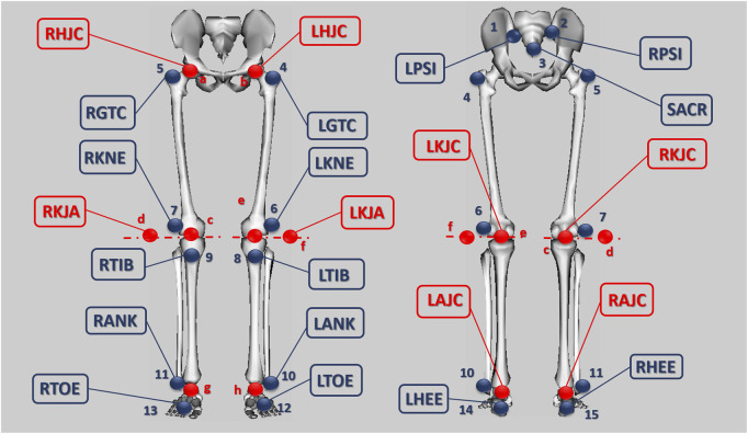 Effects of workload on 3D joint moments in cycling and their implications for injury prevention.