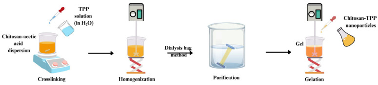 Chitosan-Based Nanogels in Modern Drug Delivery: Focus on Protein and Gene Applications.