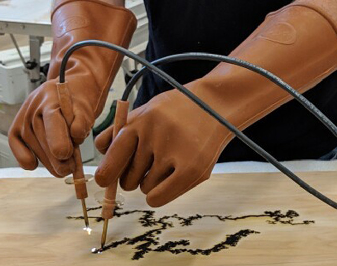 Fractal wood burning remains a potentially lethal recreational activity.