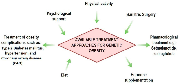 A Review of Syndromic Forms of Obesity: Genetic Etiology, Clinical Features, and Molecular Diagnosis.