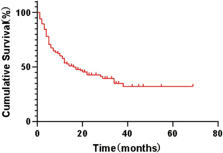 Prognostic value of preoperative serum tumor markers in gallbladder cancer.
