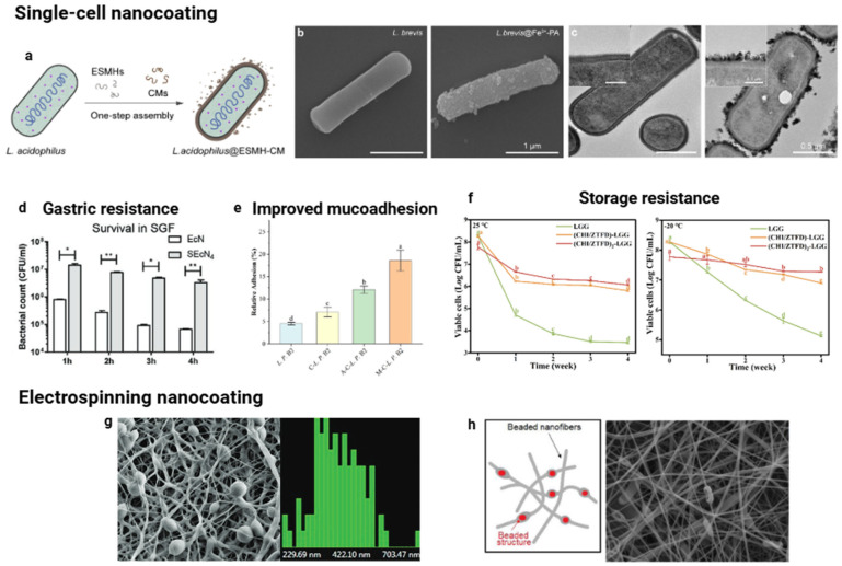 Nanoencapsulation of Biotics: Feasibility to Enhance Stability and Delivery for Improved Gut Health.
