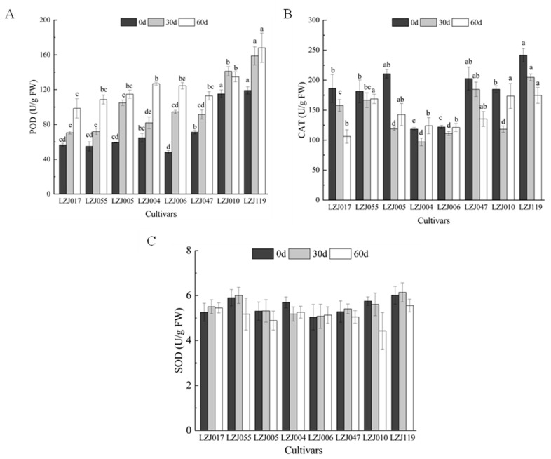 The Role of Inulin in Maintaining Antioxidant Capacity and Enzymatic Activities of Jerusalem Artichoke (<i>Helianthus tuberosus</i> L.) Cultivars During Cold Storage.