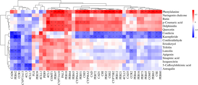 Combined transcriptomic and metabolomic analysis of the molecular mechanism of seed dormancy release in Notopterygium incisum.