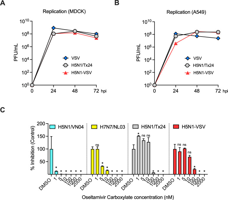 A versatile H5N1-VSV platform for safe influenza virus research applications.