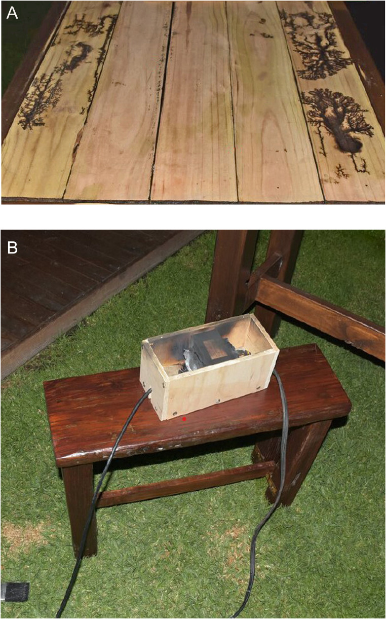 Fractal wood burning remains a potentially lethal recreational activity.