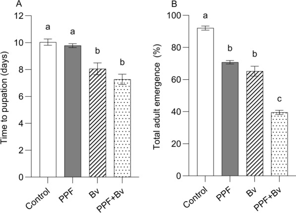 Evaluating the transstadial effects of Bacillus velezensis and pyriproxyfen, alone and in combination, on fitness-related traits of Culex quinquefasciatus.