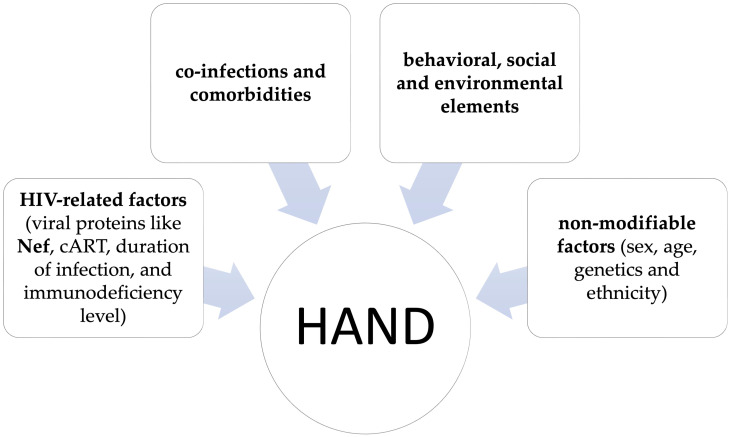 Multifaceted Role of Nef in HIV-Associated Neurocognitive Disorder: Histopathological Alterations and Underlying Mechanisms.