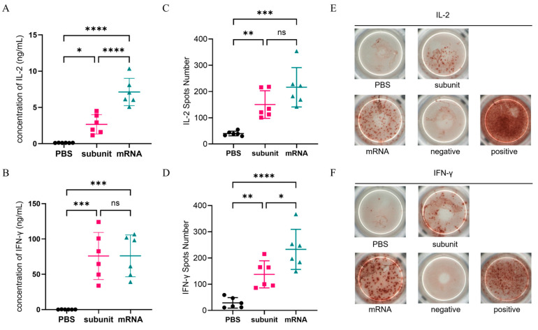 A Comparative Study on Immune Protection Efficacy: An HSV-1 Trivalent Antigen Subunit Vaccine Formulated with a Cellular Immunity-Inducing Adjuvant Versus an mRNA Vaccine.