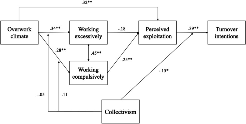 The cost of collectivism: the role of workaholism and exploitation in the psychosocial mechanisms of overwork.