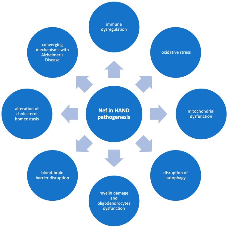 Multifaceted Role of Nef in HIV-Associated Neurocognitive Disorder: Histopathological Alterations and Underlying Mechanisms.