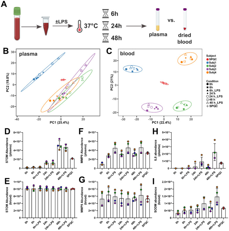 Development and validation of a streamlined workflow for proteomic analysis of proteins and post-translational modifications from dried blood.