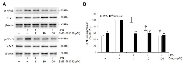 Mechanistic Insights into Vorinostat as a Repositioned Modulator of TACE-Mediated TNF-α Signaling via MAPK and NFκB Pathways.