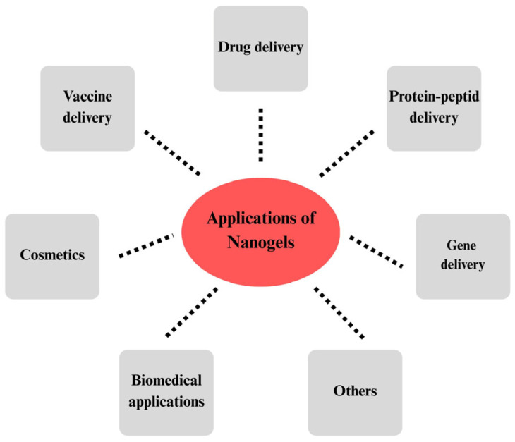 Chitosan-Based Nanogels in Modern Drug Delivery: Focus on Protein and Gene Applications.