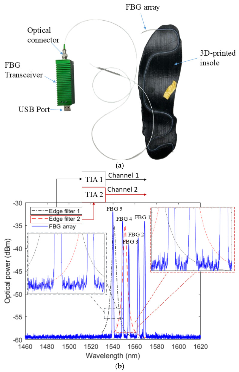 Fiber Bragg Grating Embedded 3D-Printed Insole with Commercial and Portable Reader for Stance Phase Determination.
