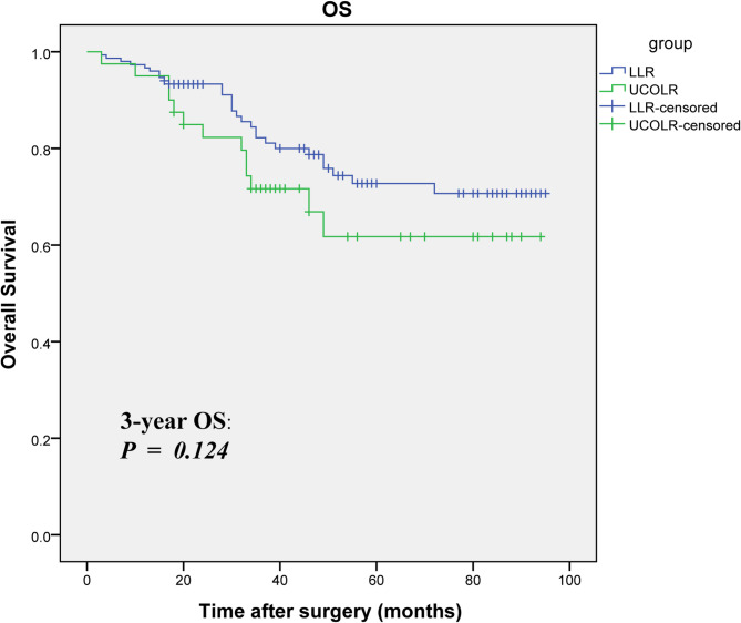 Short- and medium-term impacts of unplanned intraoperative conversion during laparoscopic liver resection for hepatocellular carcinoma patients: a propensity score-matched study.