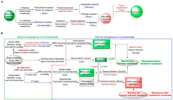 One Earth-One Health to Combat Antimicrobial Resistance Having a Dual Mutation Pattern, Based on the Robust Self-Regulation and Perpetual Reconstruction of Ecosystems.