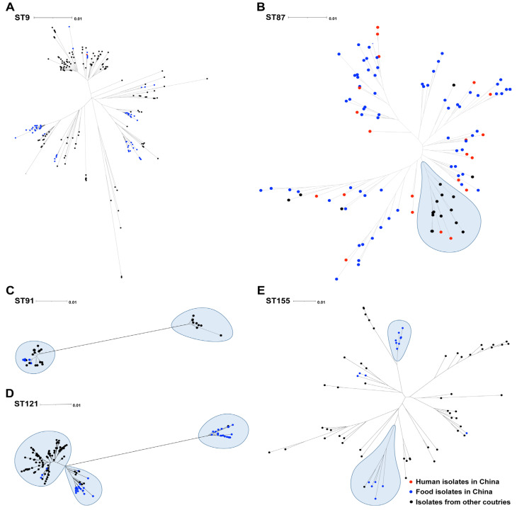 Genomic Landscape and Antimicrobial Resistance of <i>Listeria monocytogenes</i> in Retail Chicken in Qingdao, China.