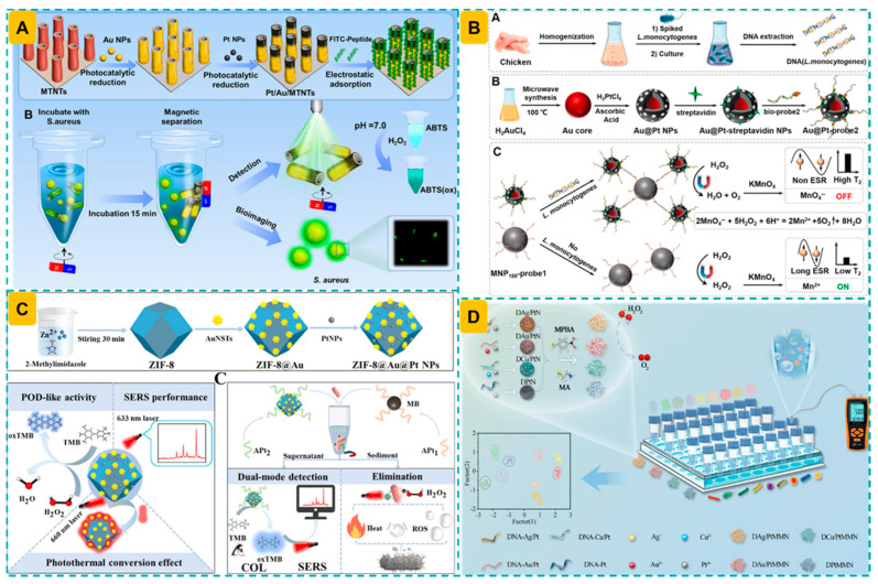 Bimetallic Gold--Platinum (AuPt) Nanozymes: Recent Advances in Synthesis and Applications for Food Safety Monitoring.