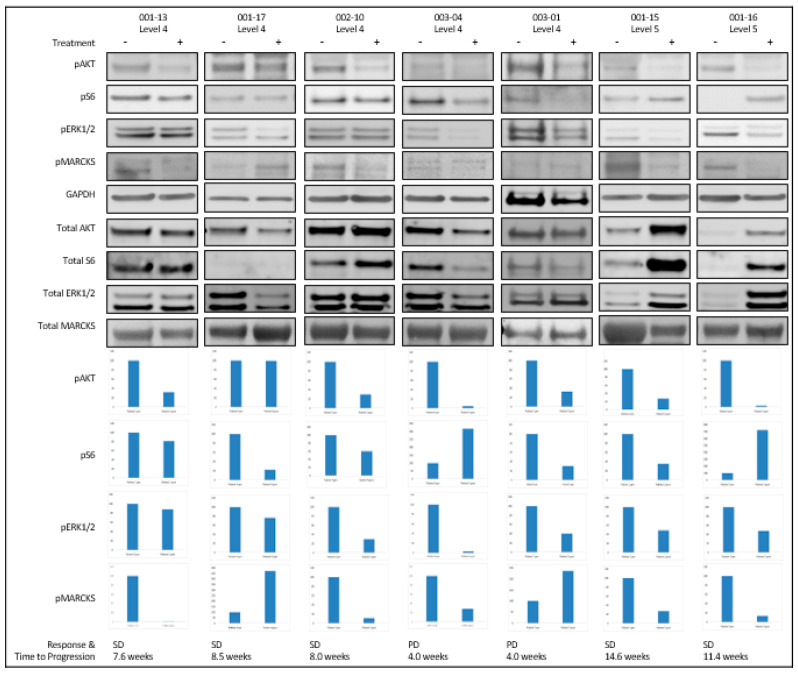 Correction: Shoushtari et al. A Phase Ib Study of Sotrastaurin, a PKC Inhibitor, and Alpelisib, a PI3Kα Inhibitor, in Patients with Metastatic Uveal Melanoma. <i>Cancers</i> 2021, <i>13</i>, 5504.