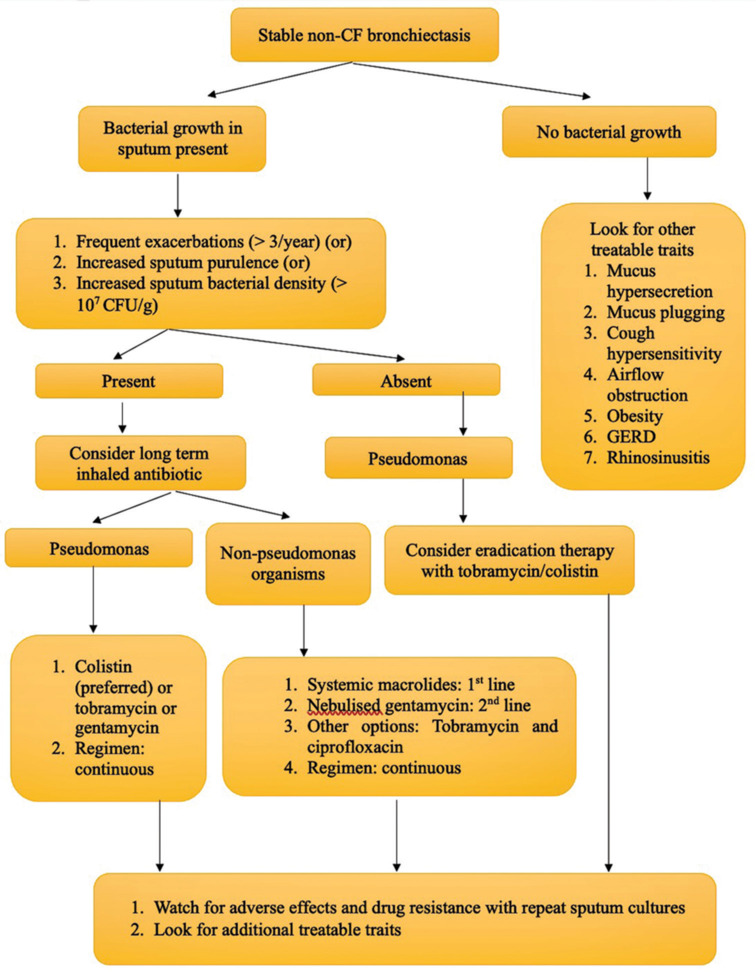 Inhaled antibiotics and non-cystic fibrosis bronchiectasis: Trying to solve the puzzle.