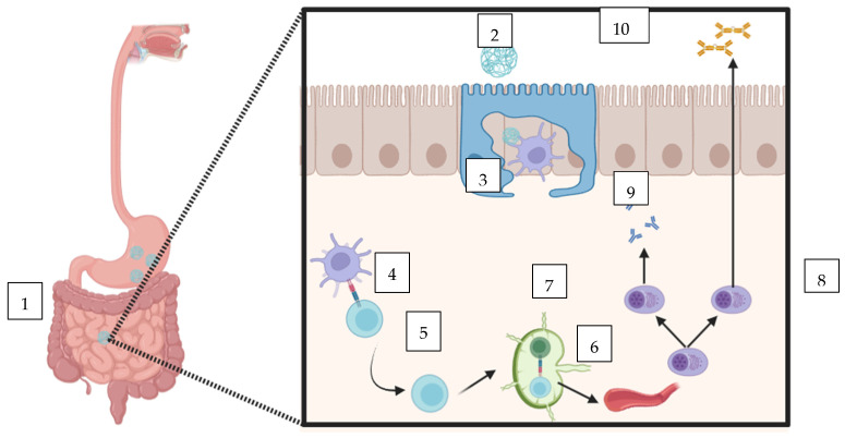 Recent Advancements in Non-Invasive Vaccination Strategies.
