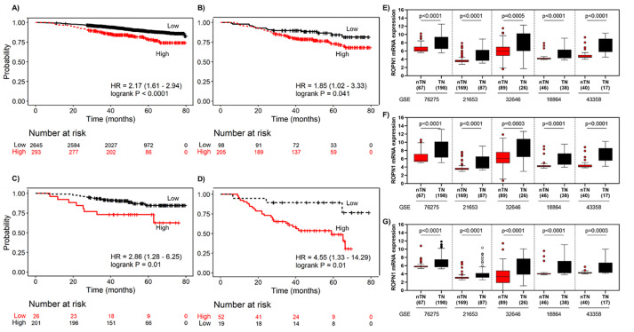 <i>ROPN1</i> Gene Expression as a Prognostic and Predictive Biomarker in Aggressive Breast Cancer: Clinical Implications and Survival Association.
