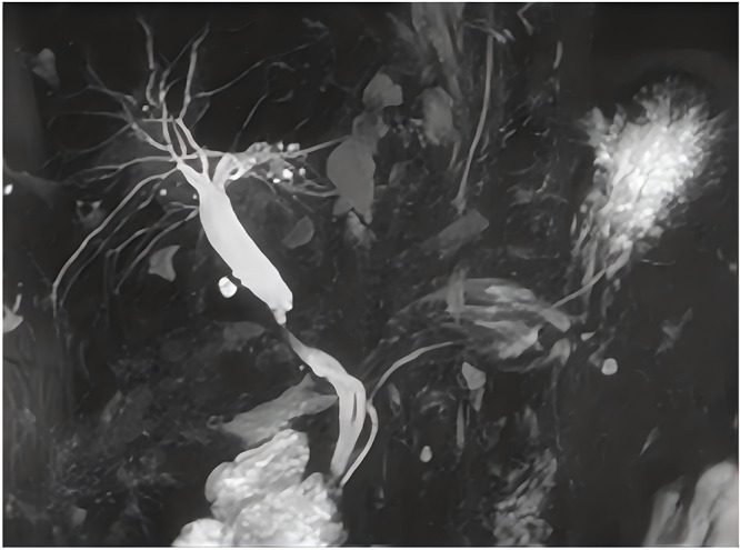 Abstract Image