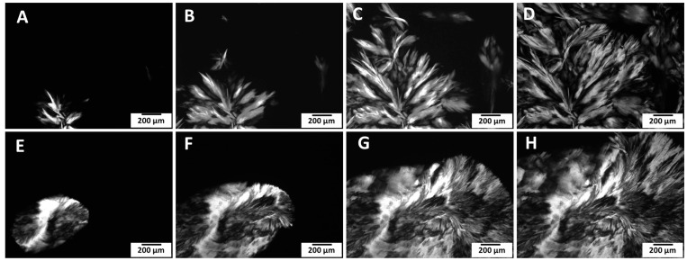 Fish Oil Oleogels with Wax and Fatty Acid Gelators: Effects on Microstructure, Thermal Behaviour, Viscosity, and Oxidative Stability.