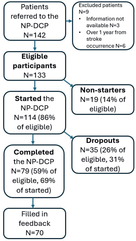 Feasibility of a novel web-based neuropsychological rehabilitation programme for stroke patients.