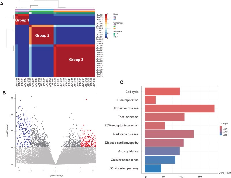 TP53 gene and pathway alterations in gastric-type adenocarcinoma of the cervix.