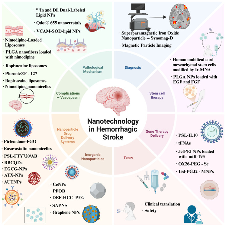 Multiple Applications of Nanomaterials in the Diagnosis and Treatment of Hemorrhagic Stroke.