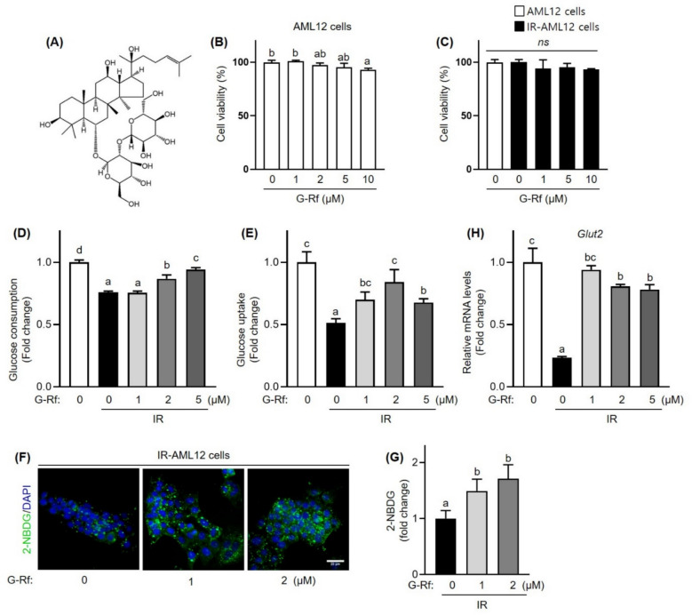 Ginsenoside Rf improves glucose metabolism via the IRS/PI3K/Akt and PPARα/PGC1α signaling pathways in insulin-resistant AML12 cells.