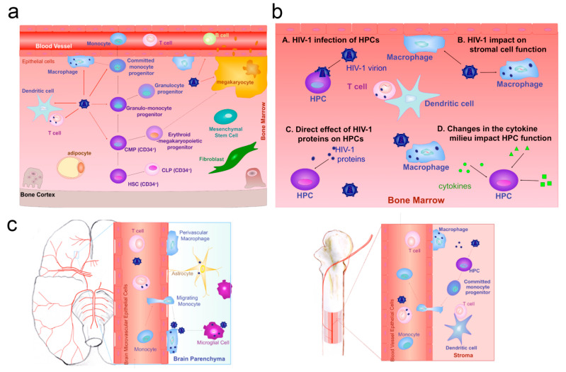 Integrating Microorganism-Based Therapy and Emerging Biotechnology in the Treatment of Intracranial Central Nervous System Diseases.