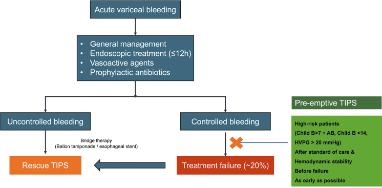 Future research direction of portal hypertension based on Baveno VII.