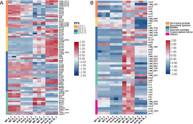 Bacterial alarmone (p)ppGpp mediates the pathogenicity of <i>Clavibacter michiganensis</i> via a dual mechanism that affects both enzyme production and the Tat secretion system.