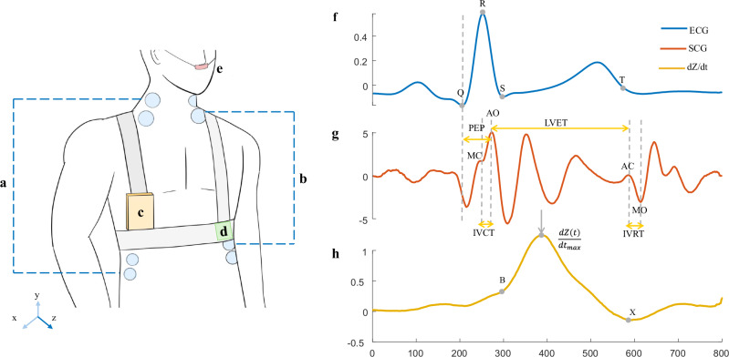 Evidence of effective cardiovascular countermeasures during spaceflights: insights from wearable monitoring.