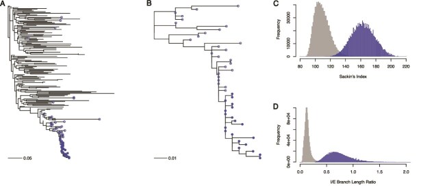 Identifying impacts of contact tracing on HIV epidemiological inference from phylogenetic data.