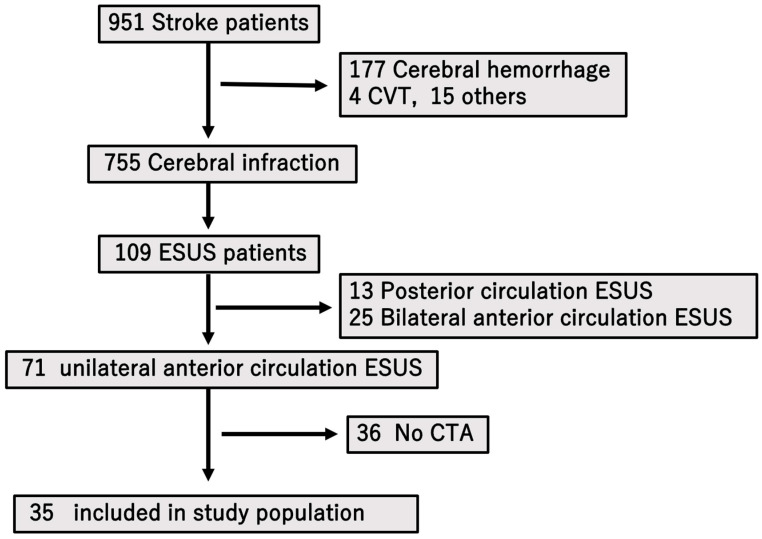Association Between Carotid Artery Small Plaque on Computed Tomography Angiography and Embolic Stroke of Undetermined Source.