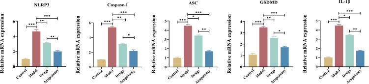 Effect of Acupotomy Modulation of NLRP3/Caspase-1/GSDMD Pathway on Chondrocyte Pyroptosis in Knee Osteoarthritis.