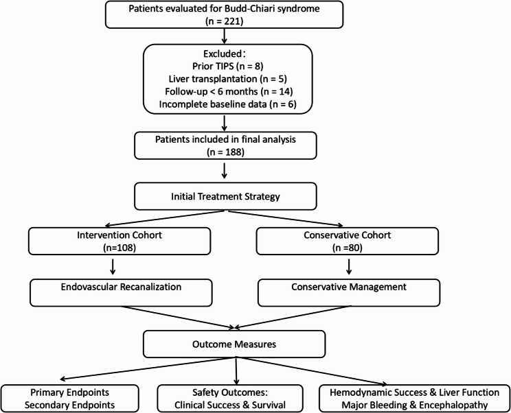 Comparative efficacy and safety of endovascular intervention versus conservative therapy in Budd-Chiari syndrome: a retrospective cohort study.