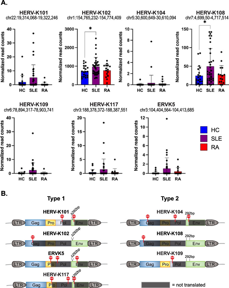 Type I interferons increase expression of endogenous retrovirus K102 and envelope protein in myeloid cells from patients with autoimmune disease.