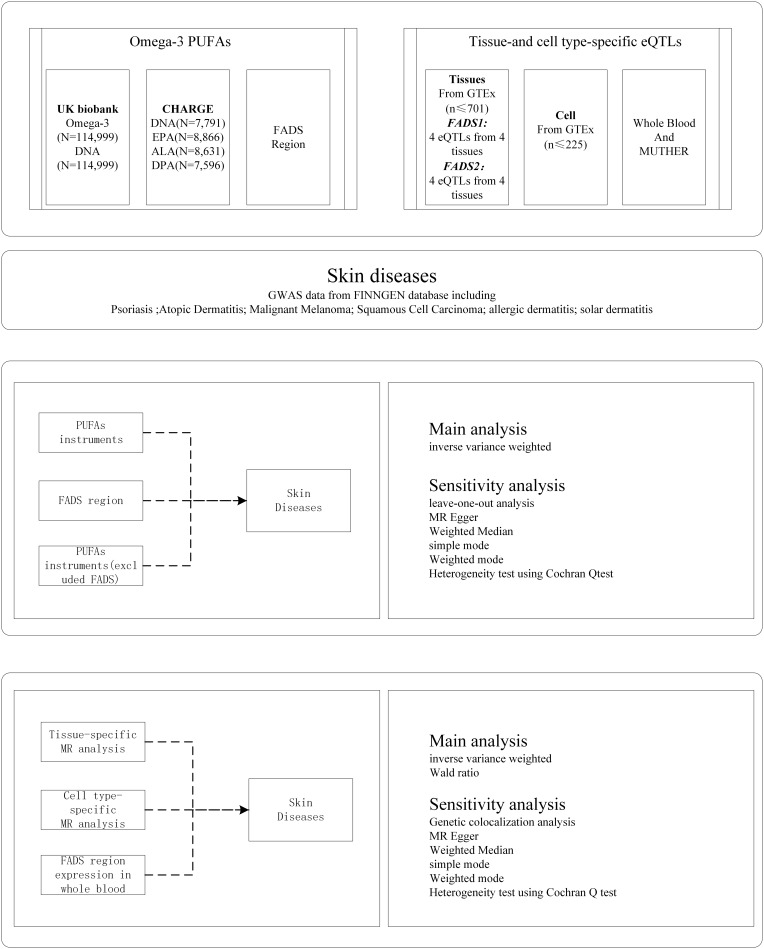 Association Between Genetically Elevated Omega-3 Polyunsaturated Fatty Acids and Skin Disease Risk: A Mendelian Randomization Study.