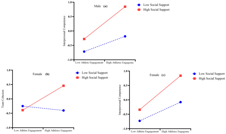 Adolescent Athlete Engagement and Team Cohesion in Football: A Moderated Mediation Model with Gender-Based Insights.
