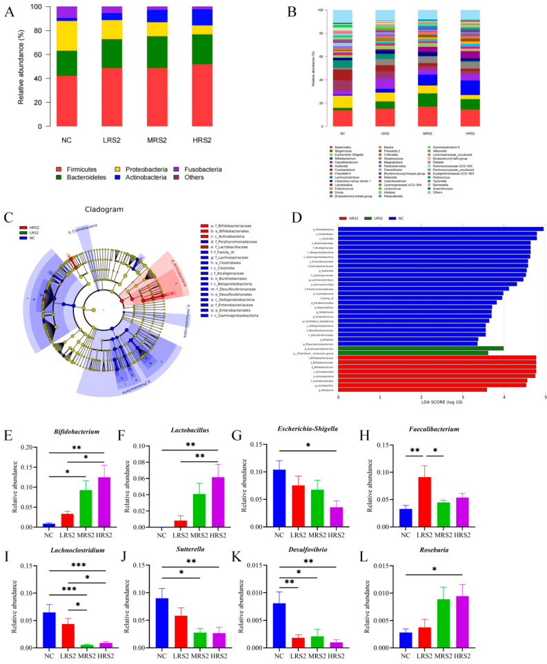 The Dose-Dependent Influence of Type 2 Resistant Starch on Gut Microbial Communities and Metabolic Outputs: An In Vitro Simulation.