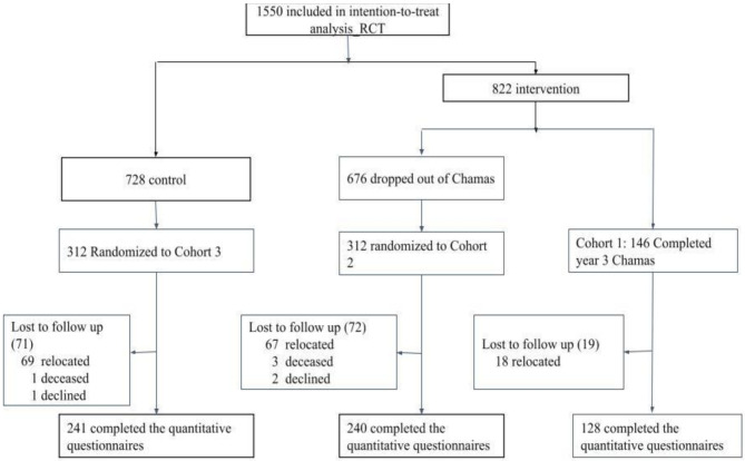 Effects of a gender-responsive maternal, newborn and child health program on health and economic outcomes during COVID-19 in Kenya: a mixed-methods study.