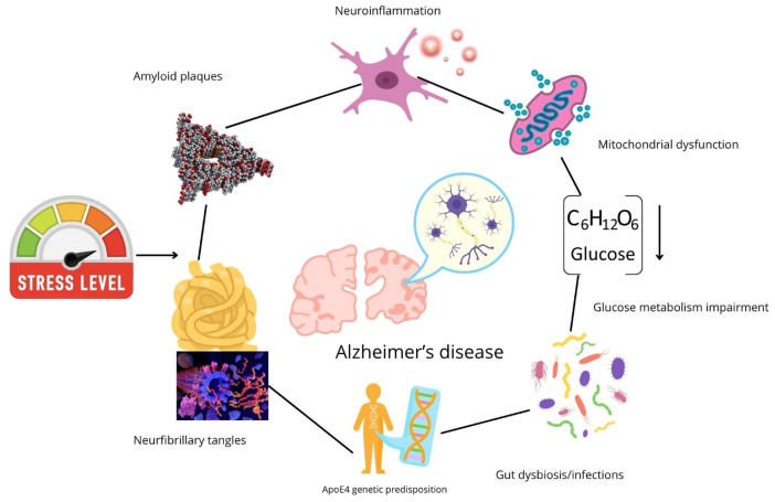 Alzheimer's disease: where do we stand now and what are the strategic interventions?