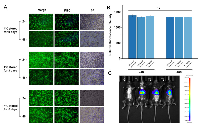 Cost-Effective and Reproducible Preparation of mRNA-Loaded Lipid Nanoparticles Using a Conventional Laboratory-Scale Microfluidic Assembly System.