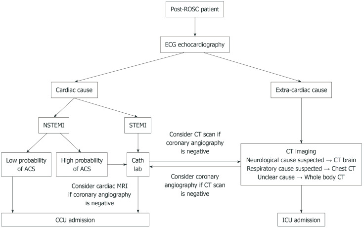 Post-cardiac arrest imaging: Unraveling etiology and predicting neurological outcome.